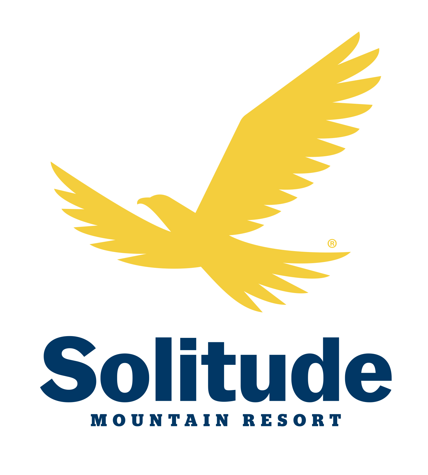 Vice President of Mountain & Resort Operations